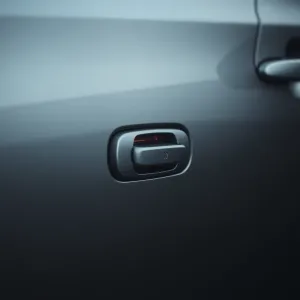 Centralny zamek nie zamyka jednych drzwi