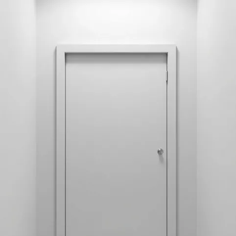 Drzwi do łazienki 60