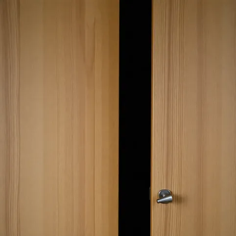 Drzwi do szafy otwierane