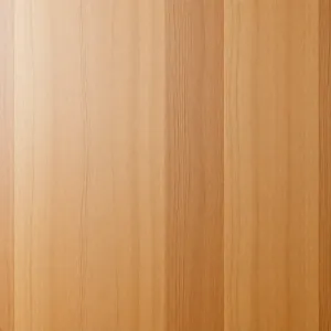 Drzwi fornirowane cena