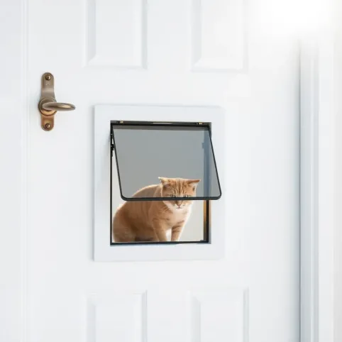 Drzwiczki dla psa i kota