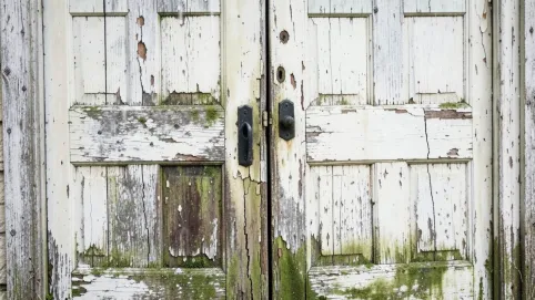 farba do drzwi drewnianych na zewnątrz