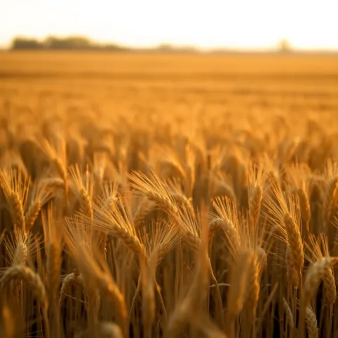 Ile ludzi mieszka w Polsce