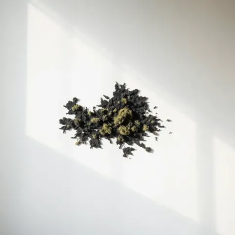 Kto odpowiada za grzyb w mieszkaniu