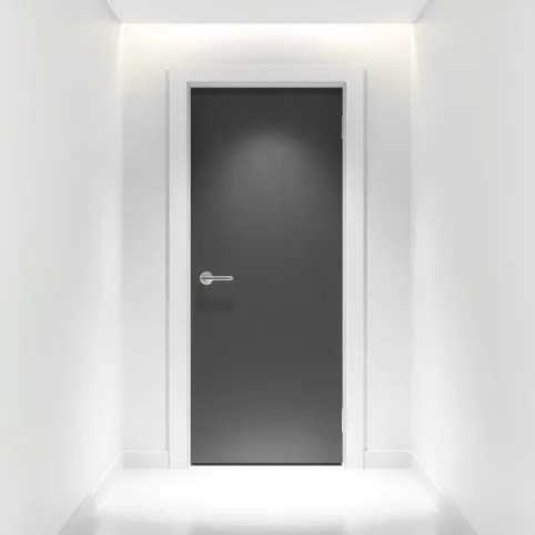 Nowoczesne drzwi wejściowe do mieszkania